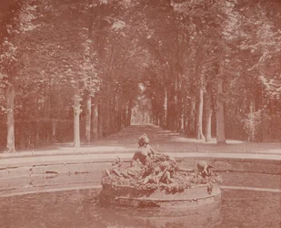 Bassin de Flore, Parc de Versailles