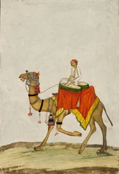 Un chameau avec son cavalier jouant des tambours, vers 1840