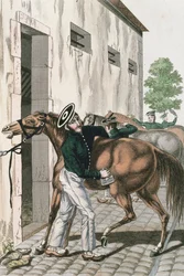 Un dragon toilettant son cheval, planche 257 d