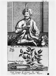 Un pot pour faire du café, illustration de Traité Nouveau et Curieux du Café, du Thé et du Chocolat par Philippe Sylvestre Dufour, La Haye, publié en 1693