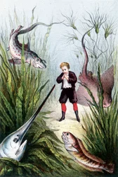 Un garçon entouré de poissons géants - dans « Voyage au fond de la mer » par H. de la Blanchère. Paris, éd. Jouvet et Cie, sd. 1880. (double 02941)