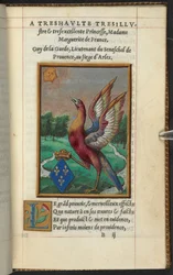 Un phénix, de L