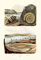 Amiral Cone, 1833-39