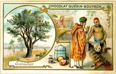 Chromolithographie publicitaire des chocolats Guérin Boutron