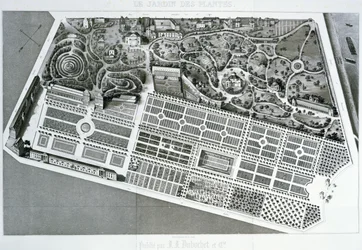 Vue aérienne du plan du Jardin des Plantes à Paris, 1842