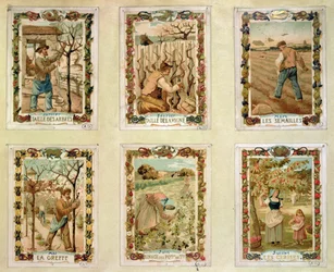 Calendrier agricole représentant les différentes saisons de l