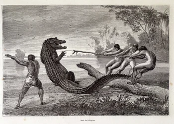 Chasse à l