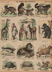 Animaux du Jardin des Plantes, Paris, France