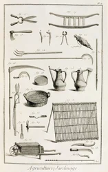 Assortiment d