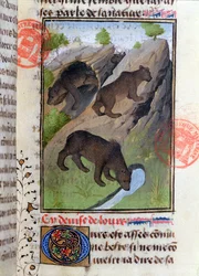 Ours, du Livre de la Chasse par Gaston Phébus