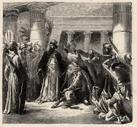 Cambyse II, souverain des Perses achéménides tue l
