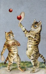 Chats jouant au tennis - carte postale début 20ème siècle