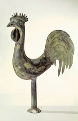 Coq