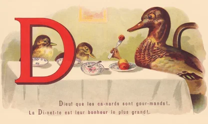 D : Dieu ! que les canards sont gourmands ! La dinette est leur plus grand bonheur !