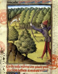 Chasse au cerf - dans « Livre de chasse de Gaston Phébus, comte de Foix, seigneur de Béarn »