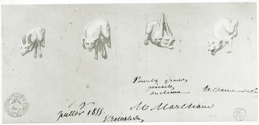 Dessin pour la restauration des gargouilles de Notre-Dame, 1855