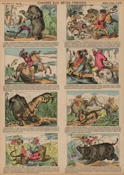 Chasse aux animaux féroces