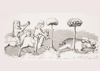 Chasse au sanglier avec des chiens, reproduction d