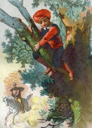 Illustration pour les Contes des Mille et Une Nuits. Ali-Baba voyant une troupe de voleurs venir de loin dans la forêt se cache dans un arbre. Chromolithographie vers 1890