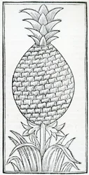 Illustration de 