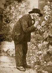 Jean-Henri Fabre observant des insectes