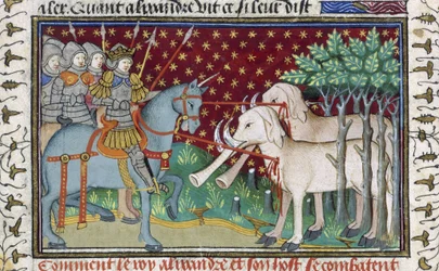 Chevaliers attaquant des éléphants, du 