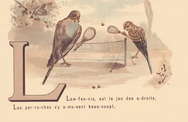 L : Lawn-Tennis, est le jeu des habiles ; les perruches s