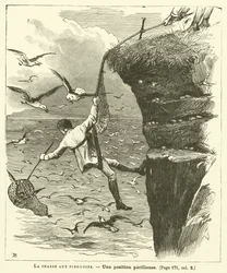 La chasse aux pingouins
