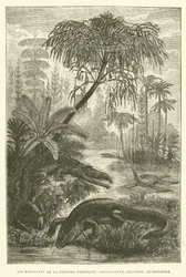Les habitants de la période triasique, capitosaure, belodon, nothosaure (gravure)