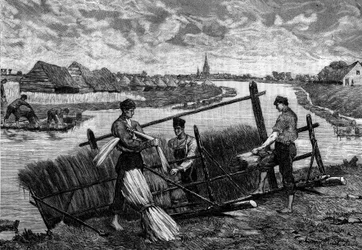 Linge : lin se précipitant dans la rivière Lys. Gravure dans « Le Journal de la jeunesse »
