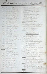 Liste des provisions embarquées à Marseille et recettes antiscorbutiques dans «Voyage autour du monde sur le Solide sous le capitaine Marchand» (un journal de bord). 1791-1792. Archives nationales de Paris.