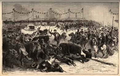 La ferrade en Camargue (fête organisée lors du marquage au fer rouge du bétail) - gravure dans 