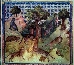Lynx sauvages dans les montagnes. Miniature du « Livre de la chasse » de Gaston III Phoebus, Comte de Foix, Seigneur de Béarn (1331-1391)