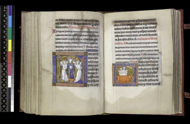 MS 300 f202v-203r, Suffrage à Saint Denis et Suffrage à Saint Eustache, du Psautier et Heures d