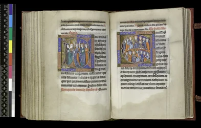 Suffrage aux Vierges et Suffrage à Tous les Saints, du Psautier et Heures d