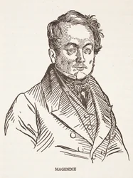 Magendie