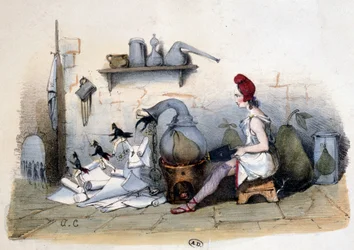 Marianne : analyse de la poire - caricature sur Louis Philippe 1er