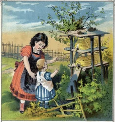 Martha montre le travail des abeilles dans la ruche à sa petite sœur
