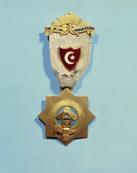 Insignes maçonniques d