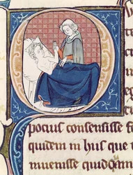 Ms 1003 f.185v Examen d