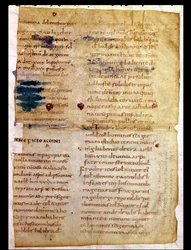 Inventaire de la propriété carolingienne, du Polyptyque de l