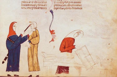 Ms Lat 9187 fol.24 Scène de torture, des Coutumes de Toulouse