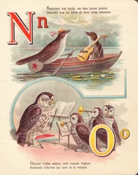 N O : Rossignol, navigation, hibou, orchestre