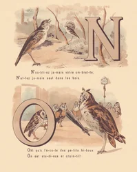 Nightingale, nuptial, hibou, orthographe