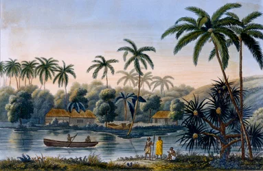 Partie du village de Matavae, cocotiers et autres fruits, Tahiti, de Voyage autour du Monde sur la Corvette Coquille par le lieutenant Louis Isodore Duperrey, publié en 1826