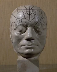 Tête phrénologique par Jean Martin Charcot