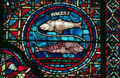 Poissons, de la fenêtre du zodiaque