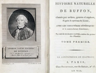 Portrait de Buffon et la page de titre de « Histoire naturelle de Buffon » classée par ordres, genres et espèces, selon le système de Linné