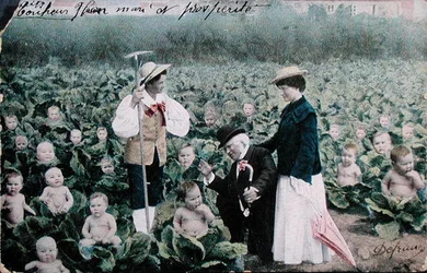 Carte postale représentant un couple cherchant un bébé