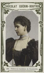 Princesse héritière de Roumanie